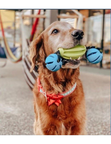 OD OllyTumbler Blue/Lime