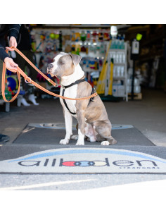 Mekuti balans sele SVART 2