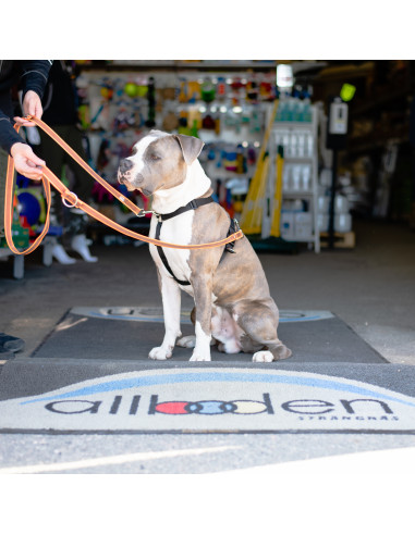 Mekuti balans sele SVART