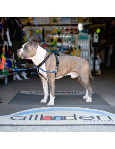 Mekuti balans sele SVART