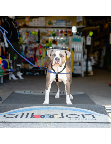 Mekuti balans sele SVART