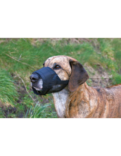 Munkorg nylon med nät L