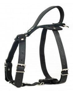 Hundsele läder svart stl 1