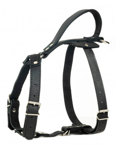 Hundsele läder svart stl 1