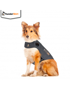 ThunderShirt