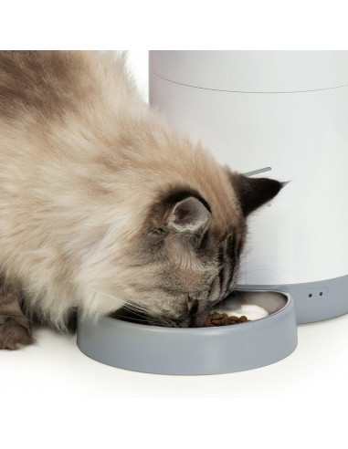 Catiti Pixi Smart Feeder Foderautomat