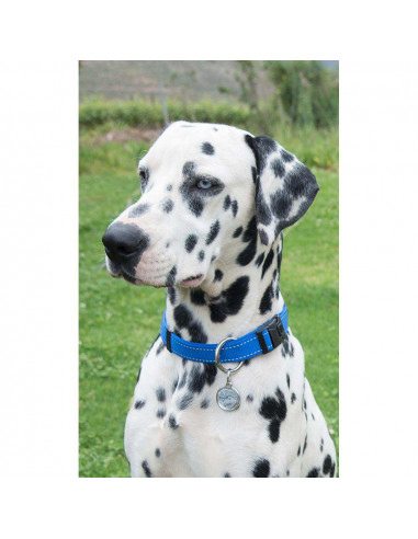 Rogz Halsband utility Blue