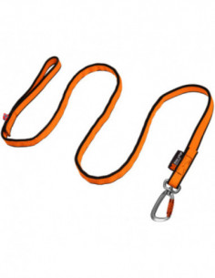 Non-Stop Bungee Leash...