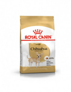 Chihuahua 3 kg