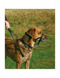 Nossele Top-trainer Svart...