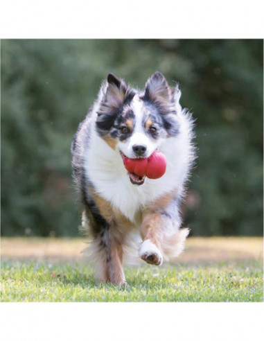 Hundleksak KONG - Classic - L - 10cm...