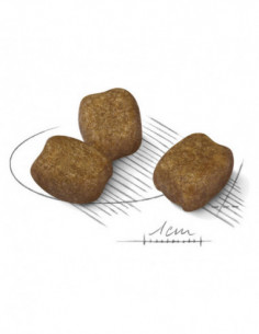 Mini Dental care 3 kg 2