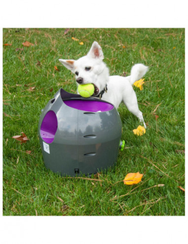 Pet Safe boll kastare