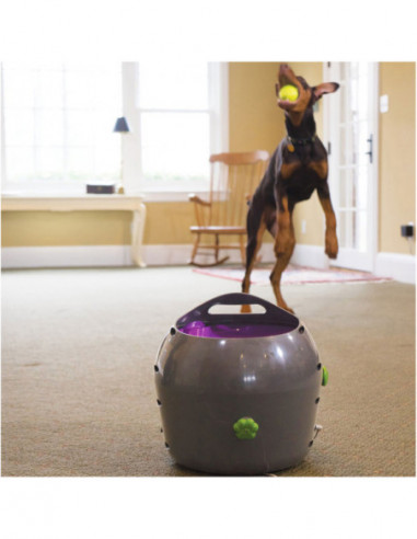 Pet Safe boll kastare