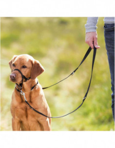 Nossele Top-trainer Svart M... 2