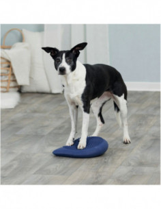 Dog Activity Balansdyna...