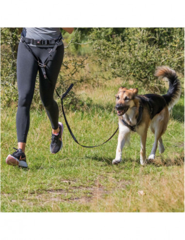 Hands-Freebälte m expander 70-120/12...