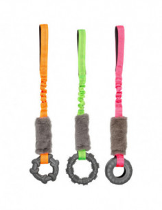 Companion bungee tug toy...
