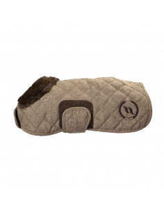 BoT Haze Collection...