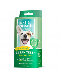 Fresh Breath Clean Teeth...