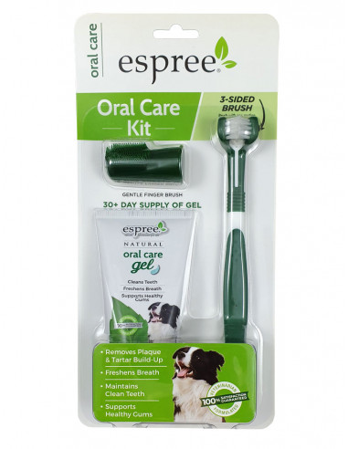 Oral care kit