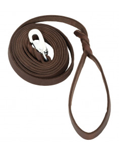 Globus Läderkoppel brun...