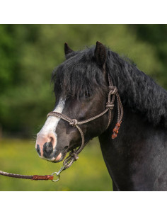 Repgrimma brun/beige cob 2