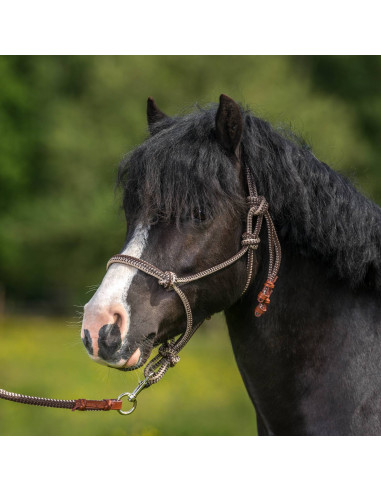 Repgrimma brun/beige cob