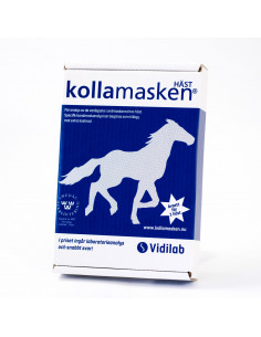 Kollamasken Häst