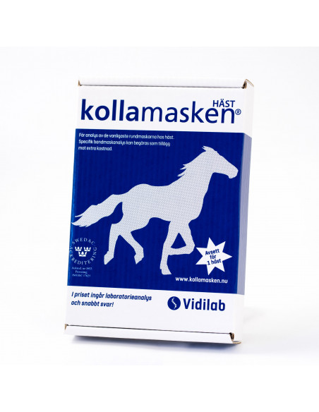 Kollamasken Häst