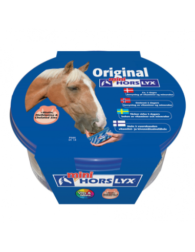 Slicksten Horslyx Original 650 g/st